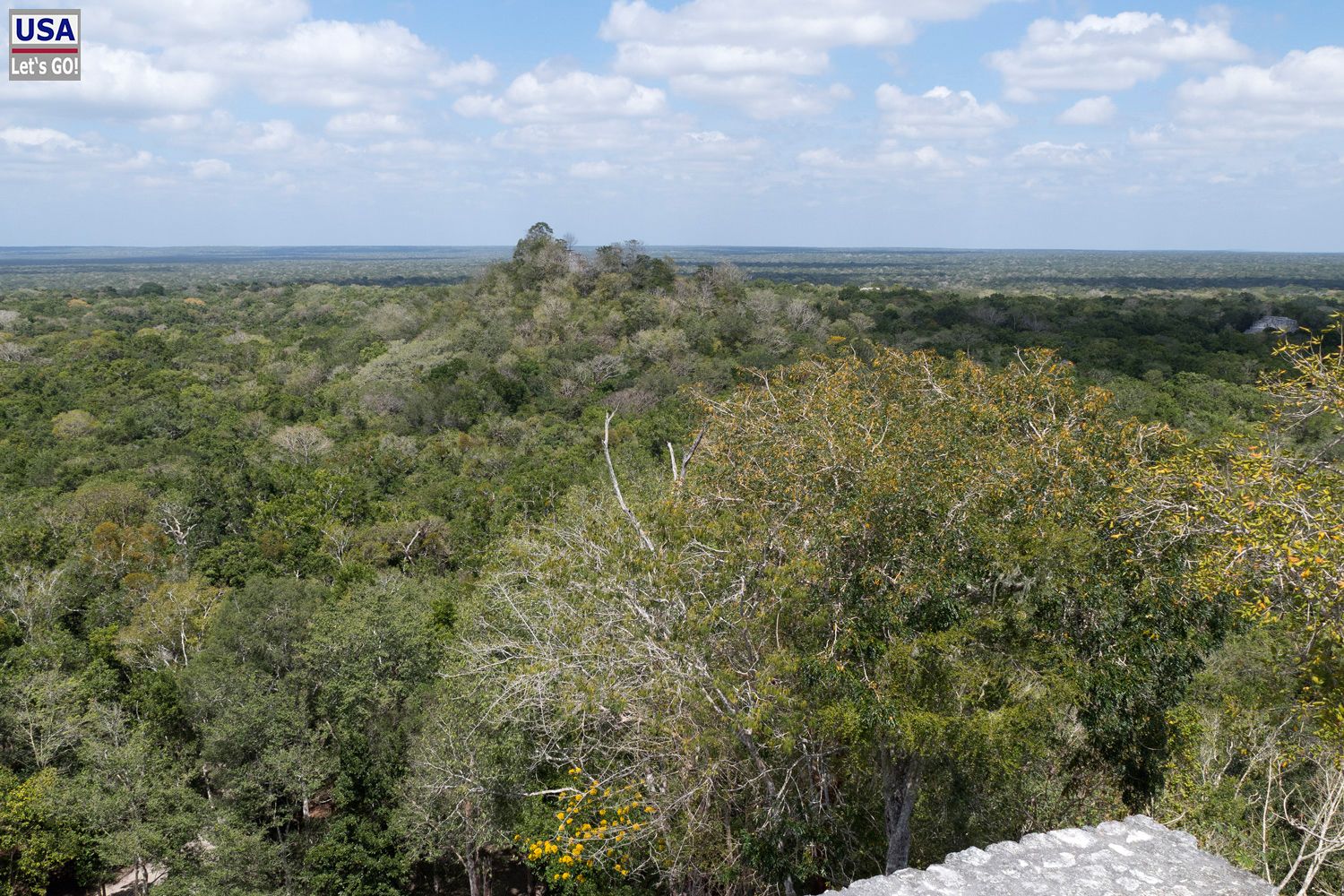 Calakmul Estructura I
