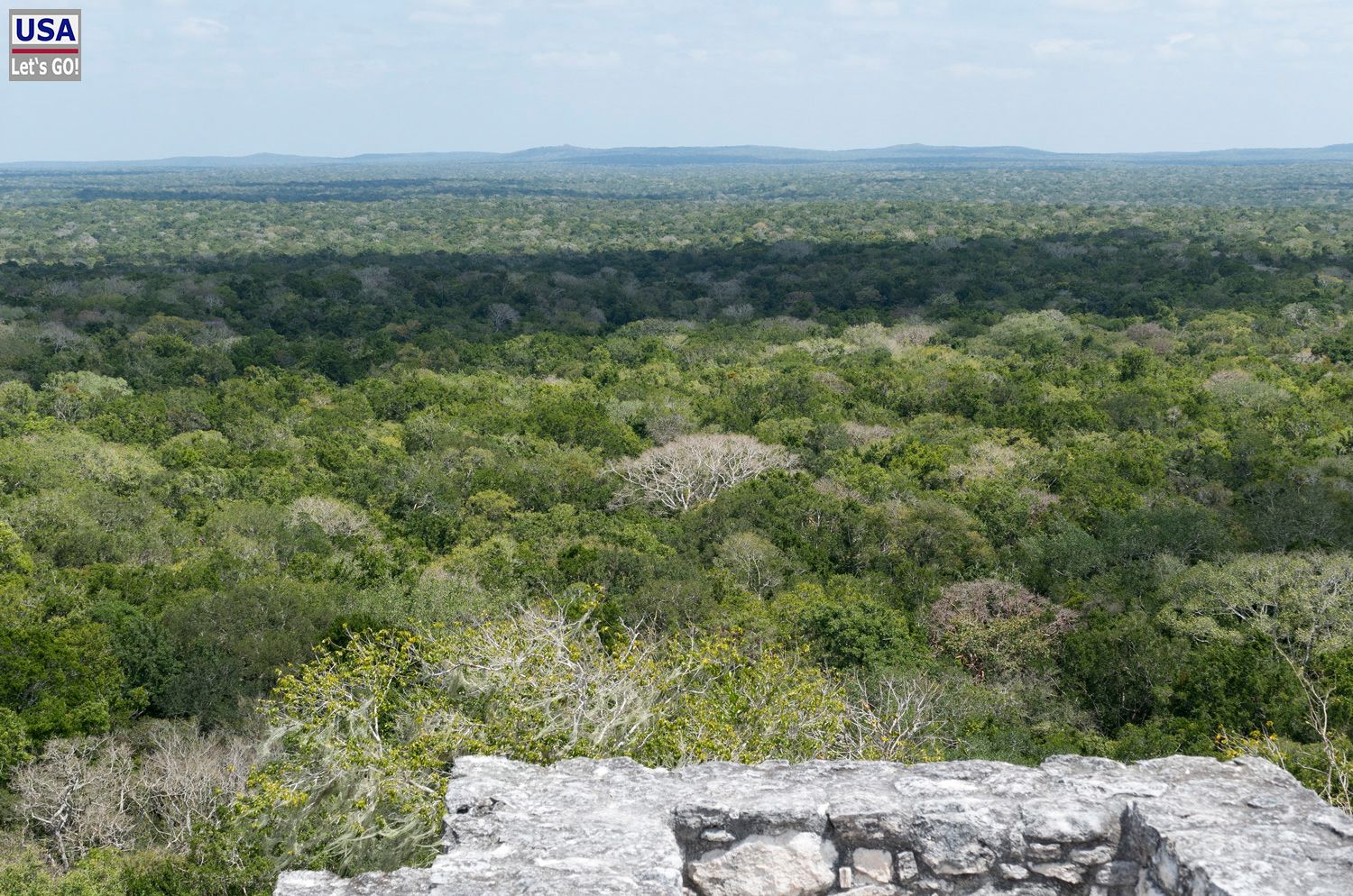 Calakmul Estructura I