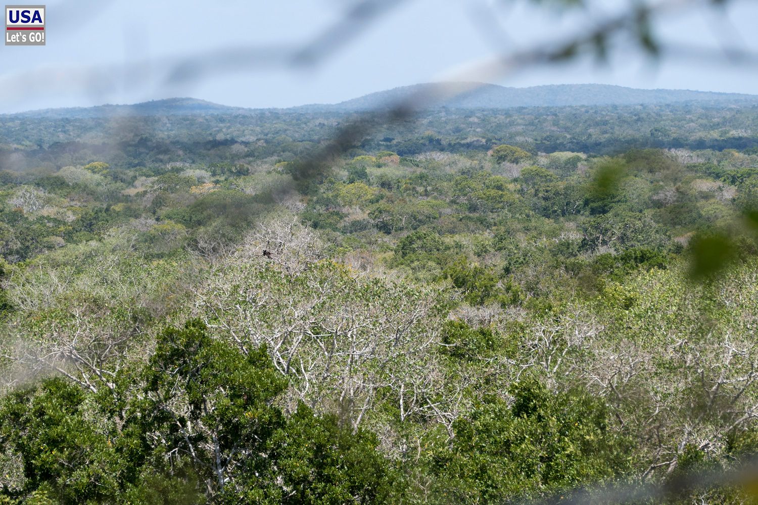 Calakmul Estructura II