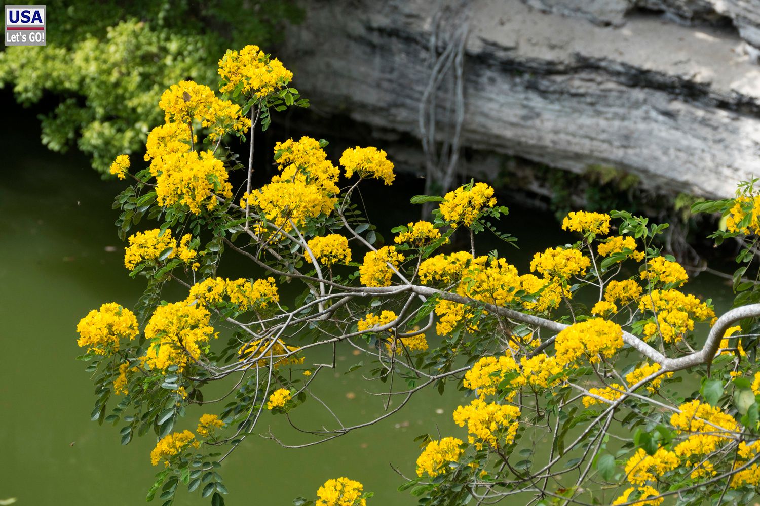 Chichén Itzá Cenote Sagrado