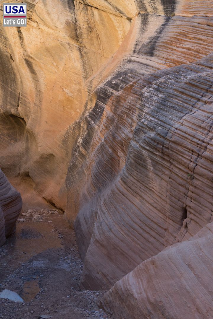 Willis Creek