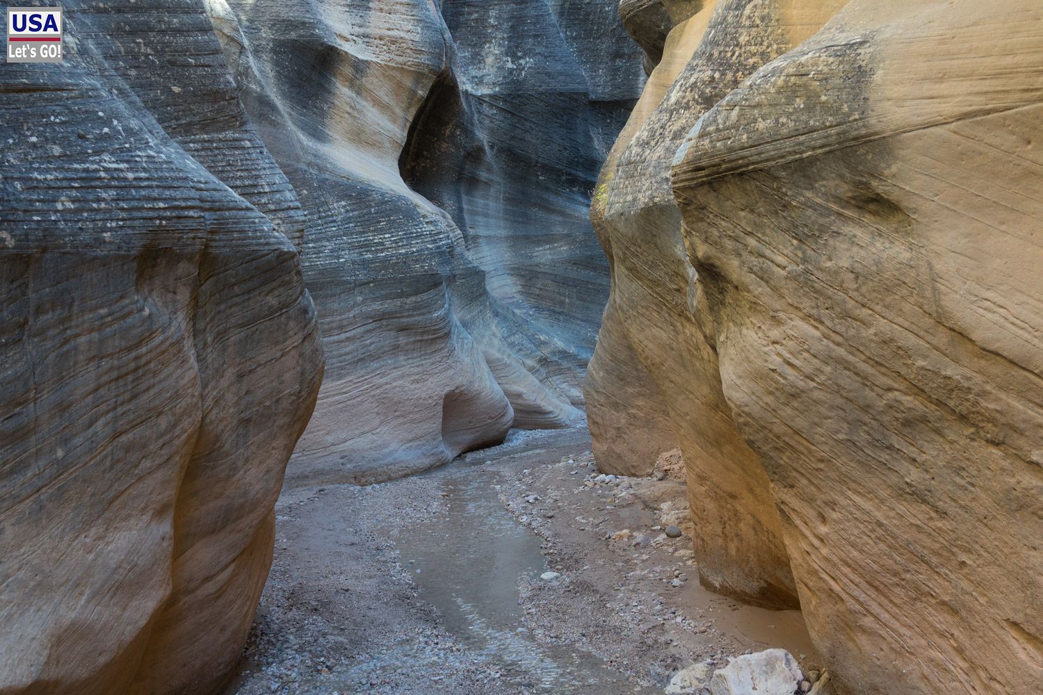 Willis Creek