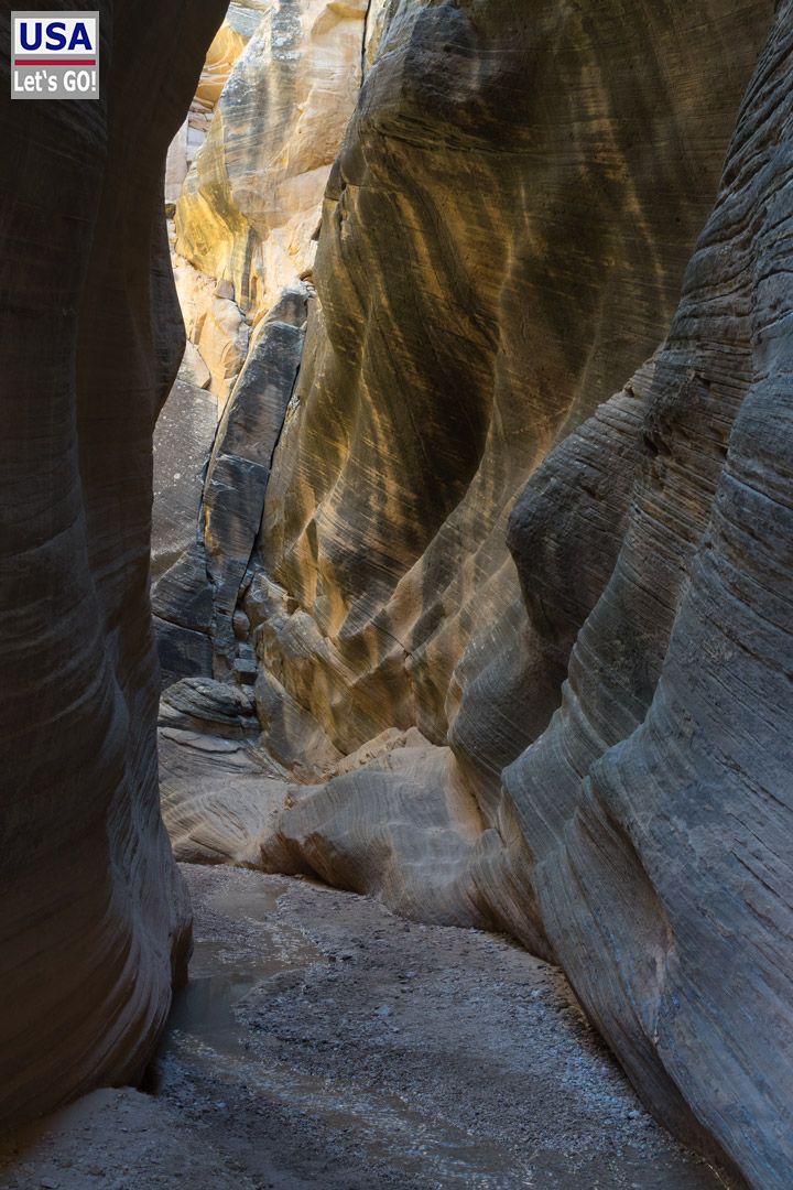 Willis Creek