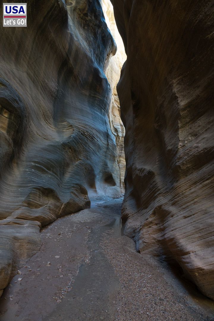 Willis Creek