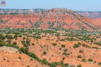 Caprock Canyons State Park (TX)
