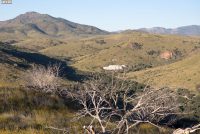 Davis Mountains State Park (TX)