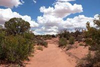 Moab Backroads (UT)