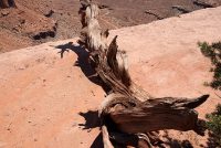 Canyonlands National Park (UT)