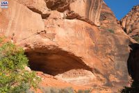 Red Cliffs National Conservation Area (UT)