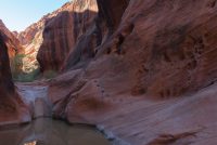 Red Cliffs National Conservation Area (UT)