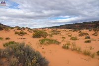 Coral Pink Sand Dunes SP (UT)