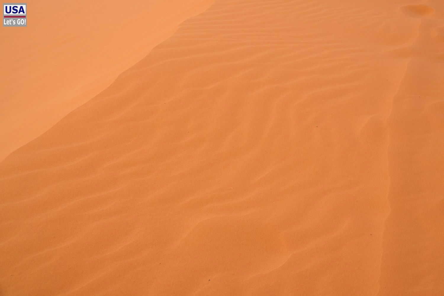 Coral Pink Sand Dunes