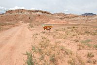 Little Egypt Geologic Site (UT)