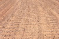 Goblin Valley State Park (UT)