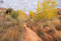 Leprechaun Canyon (UT)