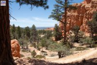 Red Canyon (UT)