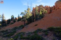 Red Canyon (UT)