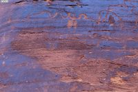 Potash Rock Art Panel (UT)