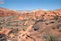 Snow Canyon State Park (UT)