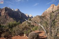 Zion National Park (UT)