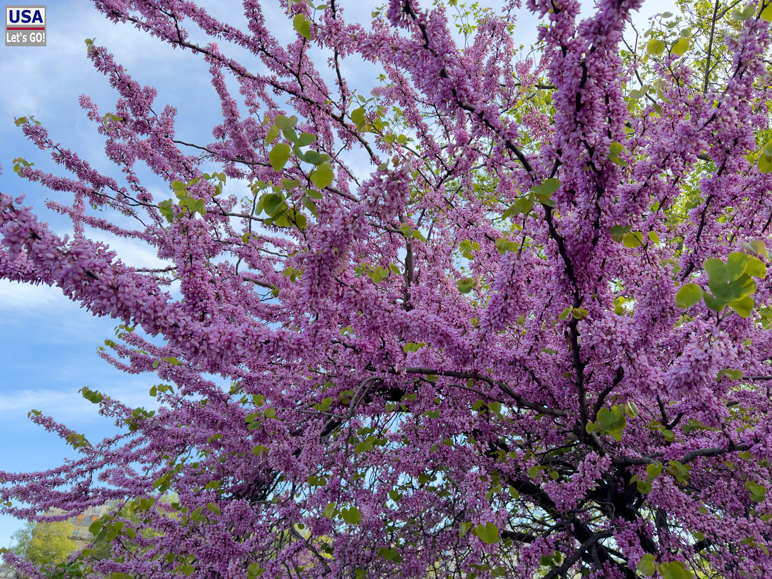 viveLaFrance Tour 2025