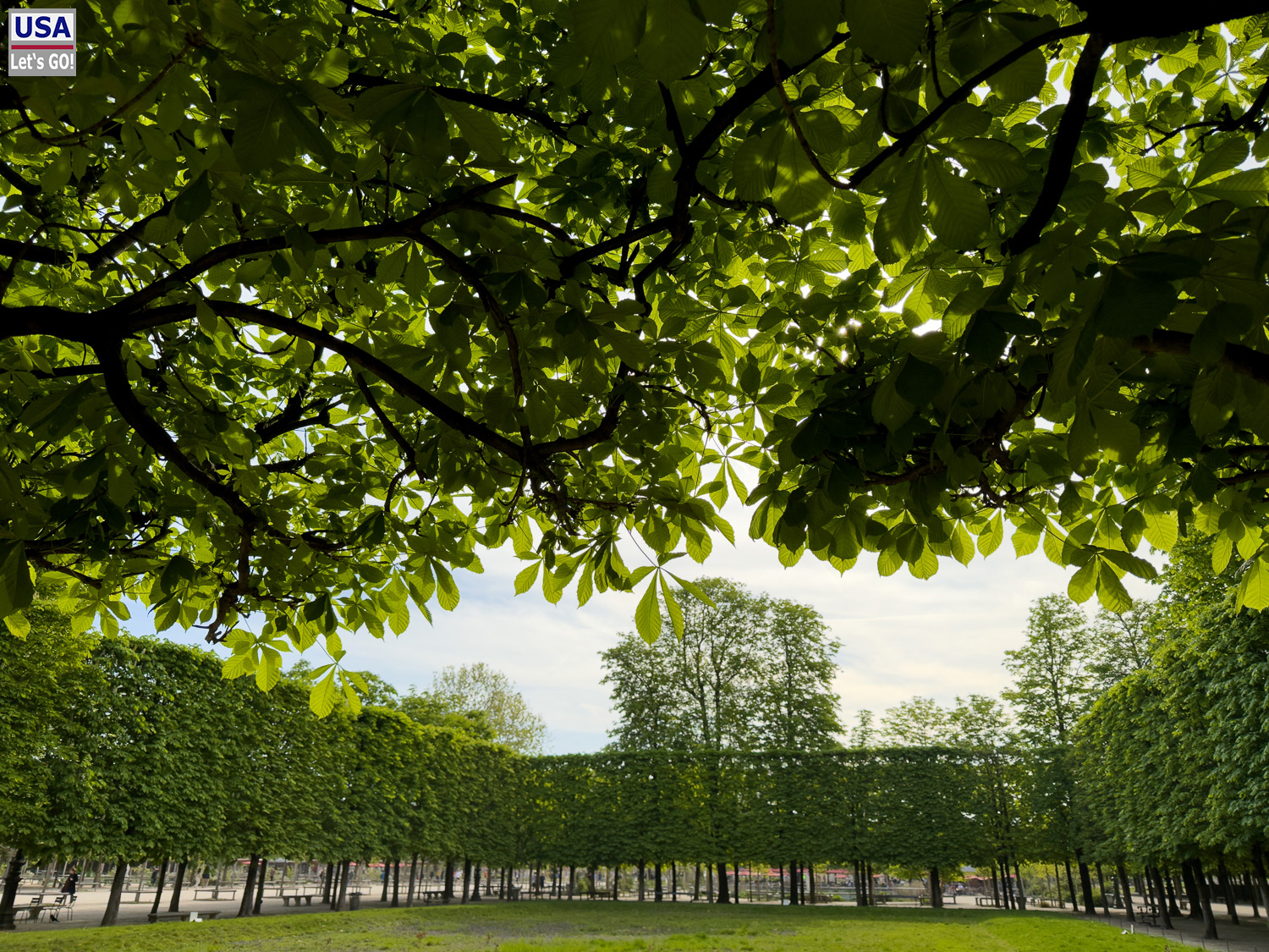 viveLaFrance Tour 2025