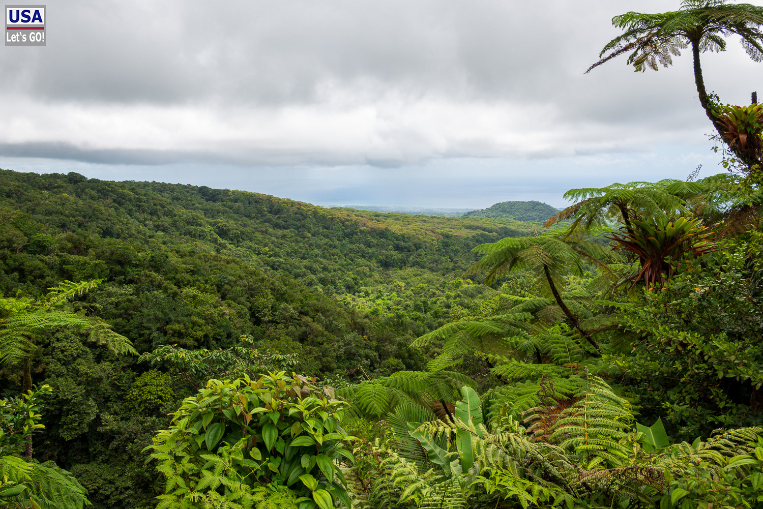 viveLaFrance Tour 2025