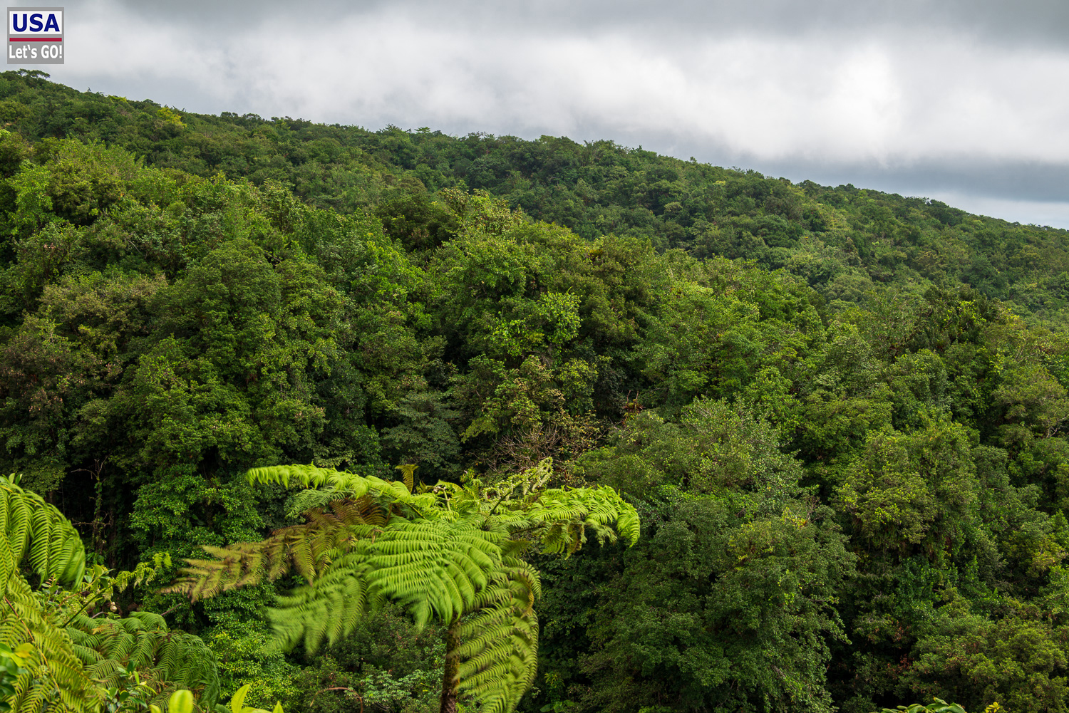 viveLaFrance Tour 2025