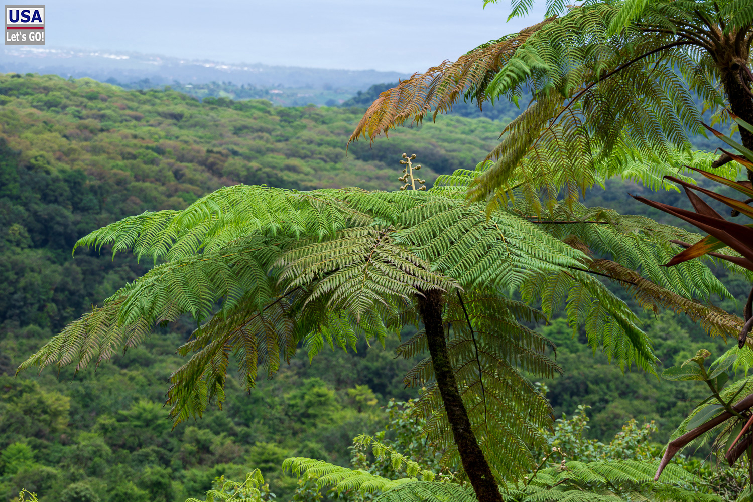 viveLaFrance Tour 2025