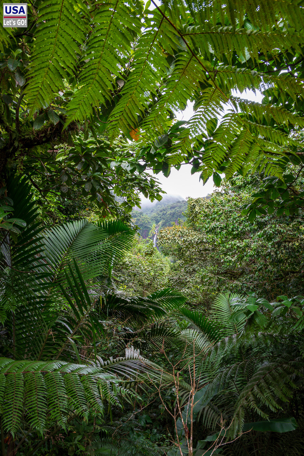 viveLaFrance Tour 2025