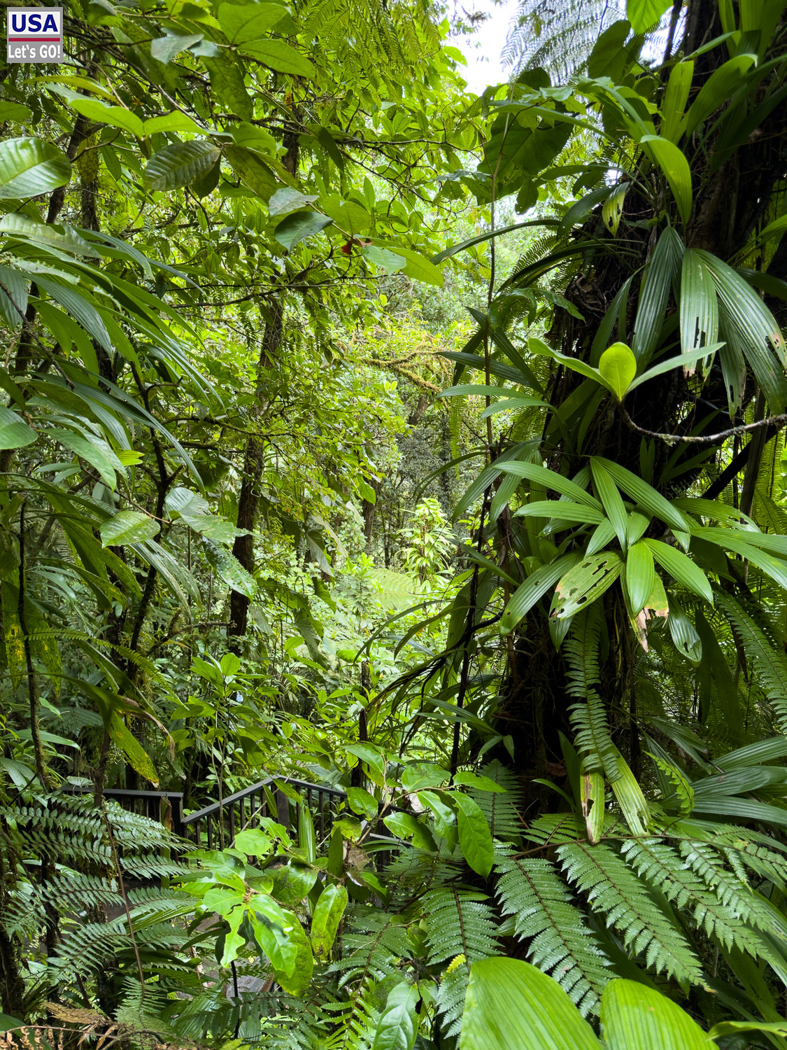 viveLaFrance Tour 2025