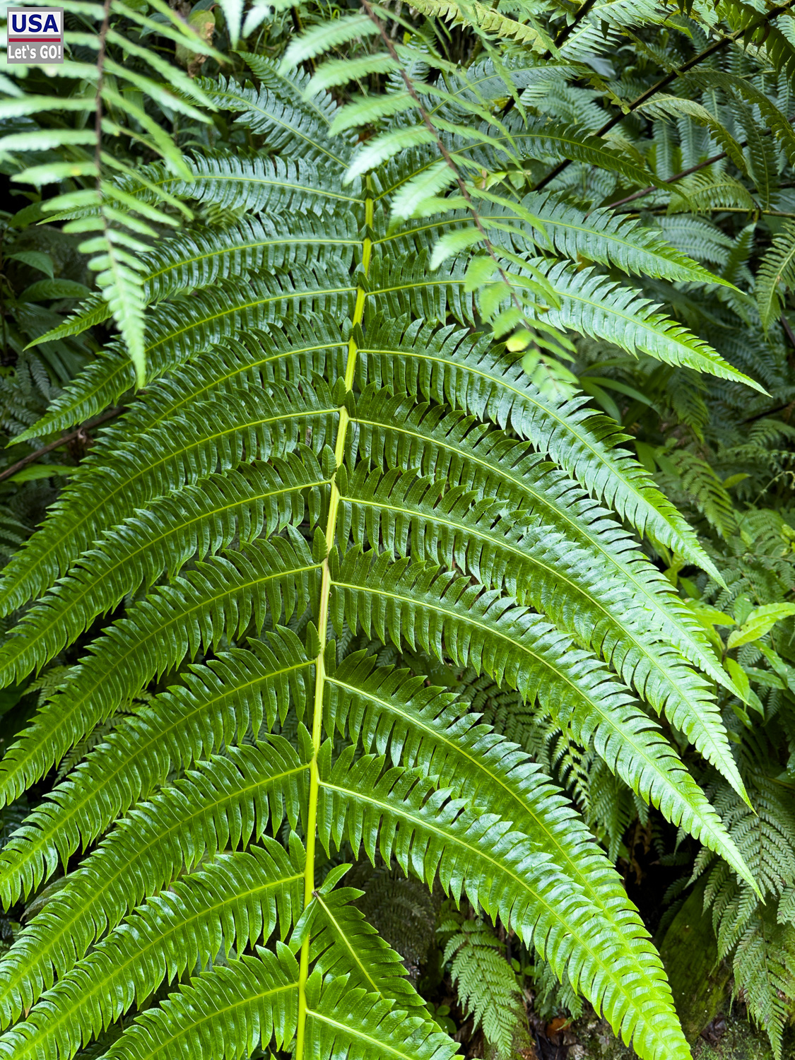 viveLaFrance Tour 2025