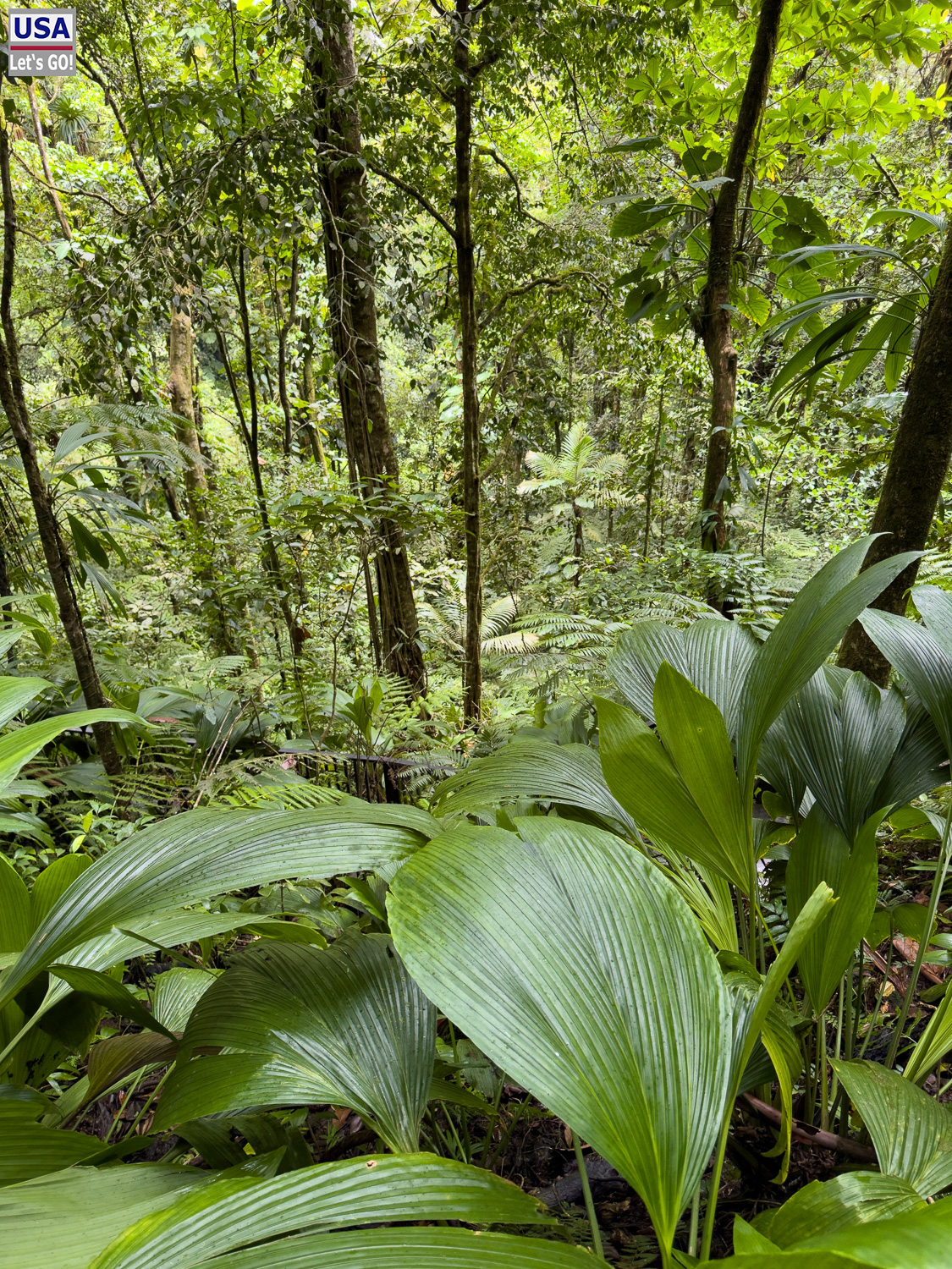 viveLaFrance Tour 2025