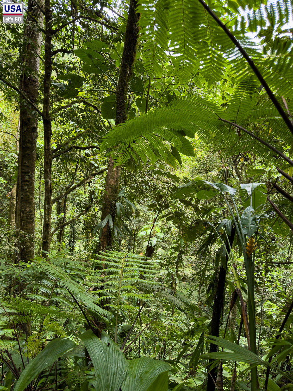 viveLaFrance Tour 2025