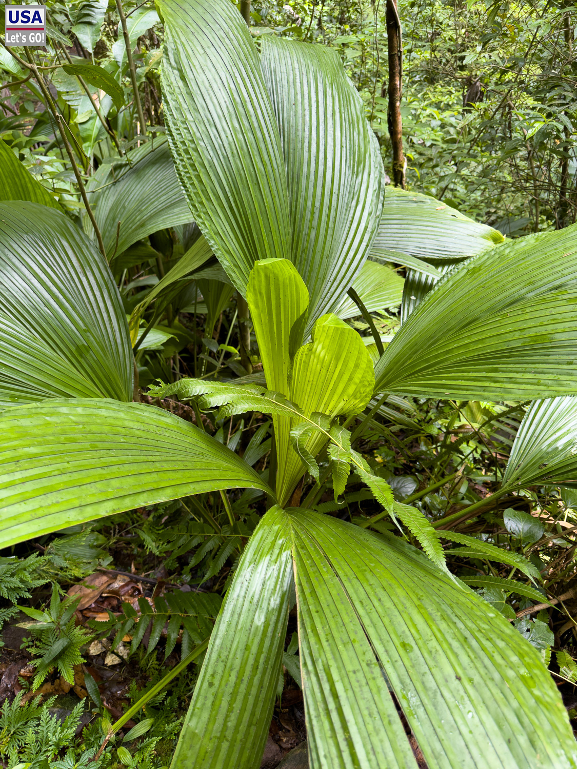 viveLaFrance Tour 2025