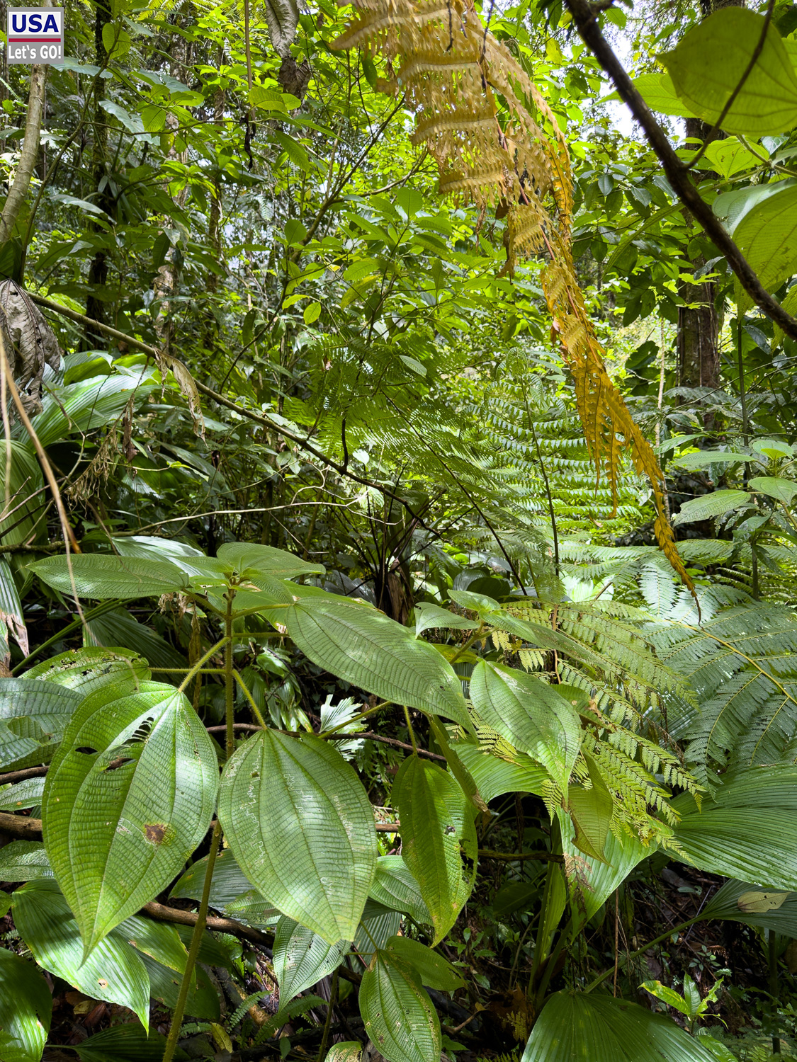 viveLaFrance Tour 2025