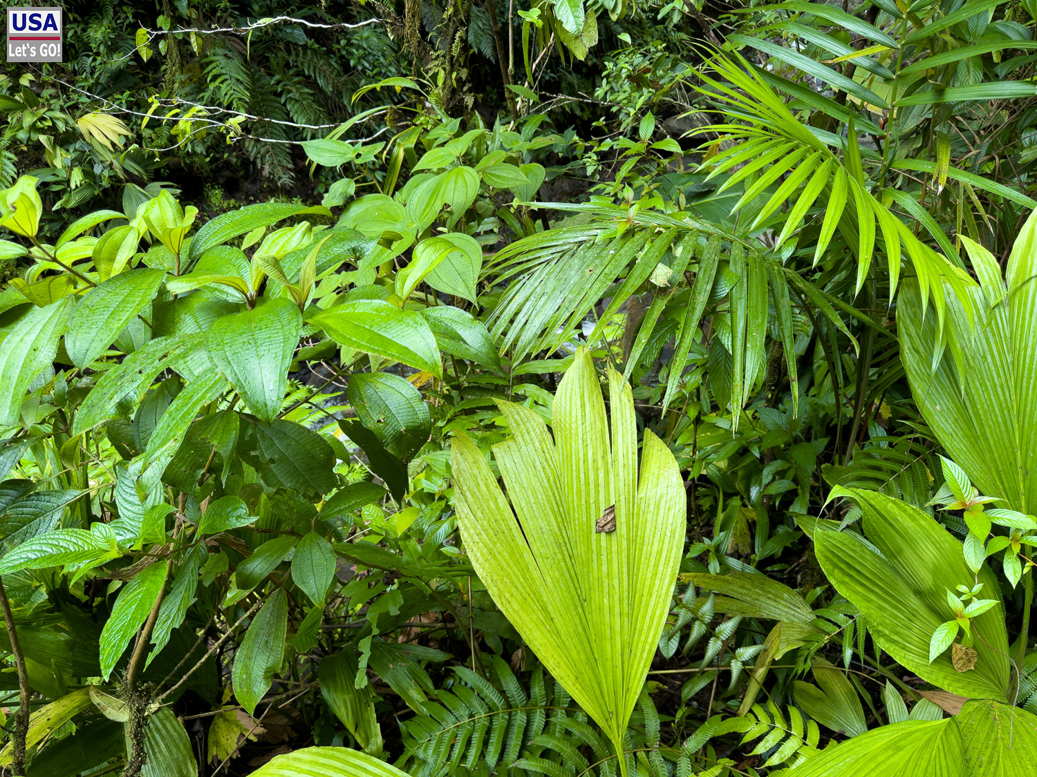 viveLaFrance Tour 2025