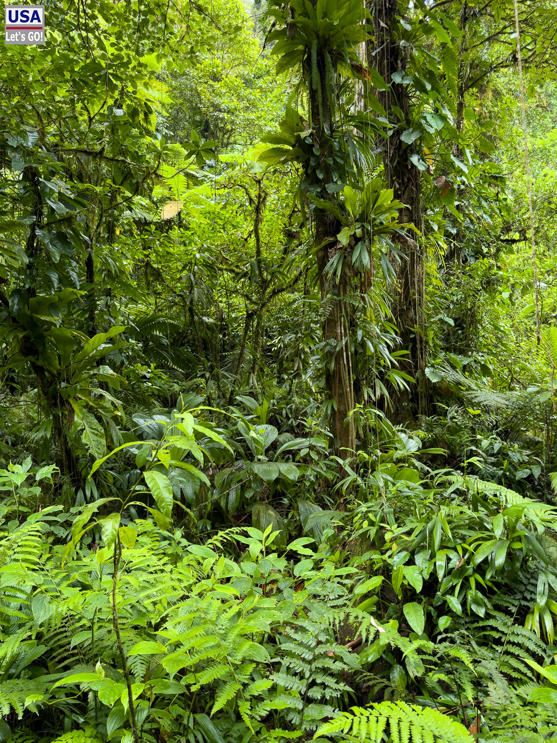 viveLaFrance Tour 2025