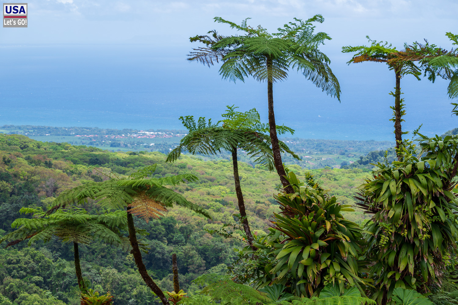 viveLaFrance Tour 2025