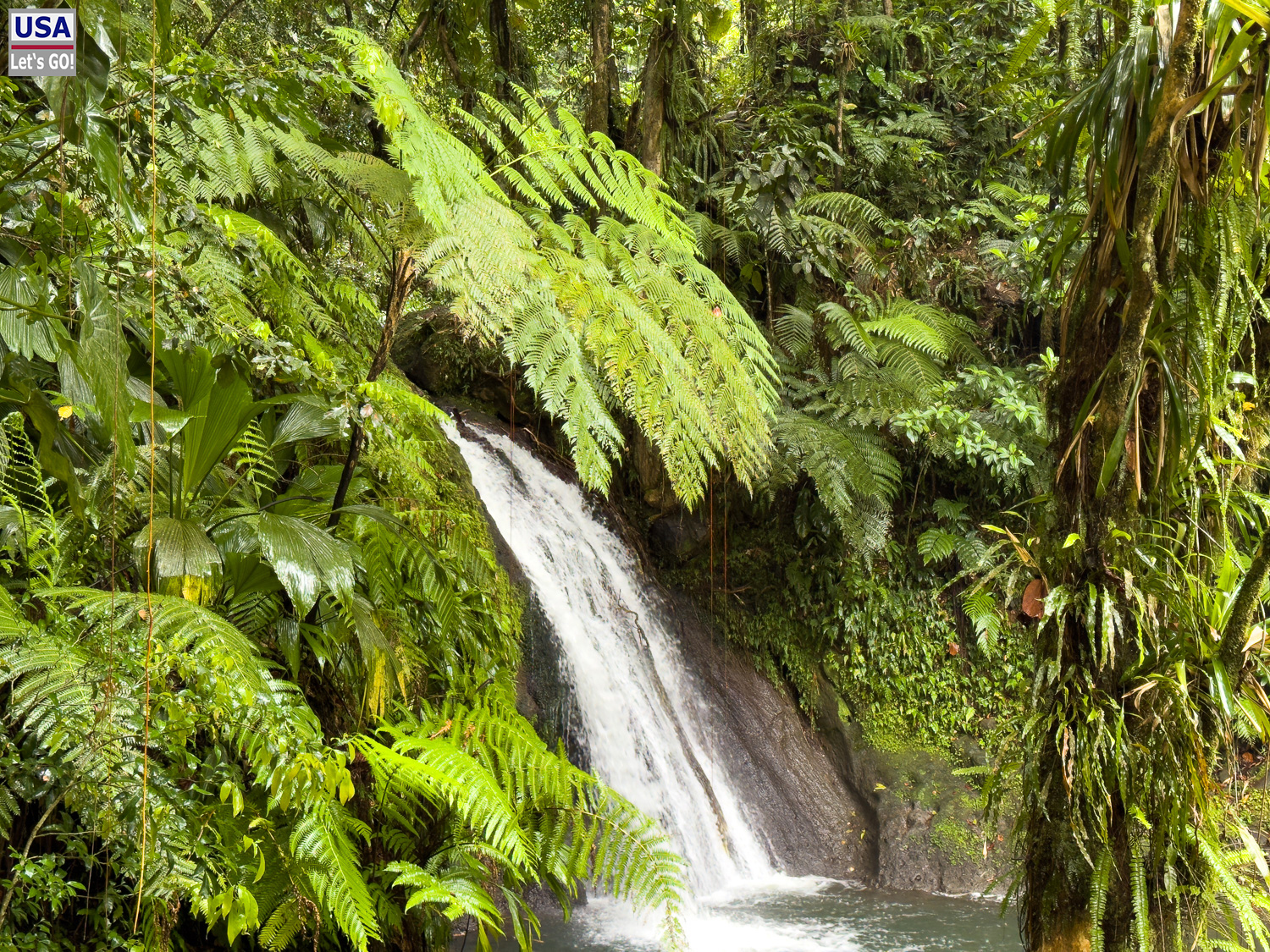 viveLaFrance Tour 2025