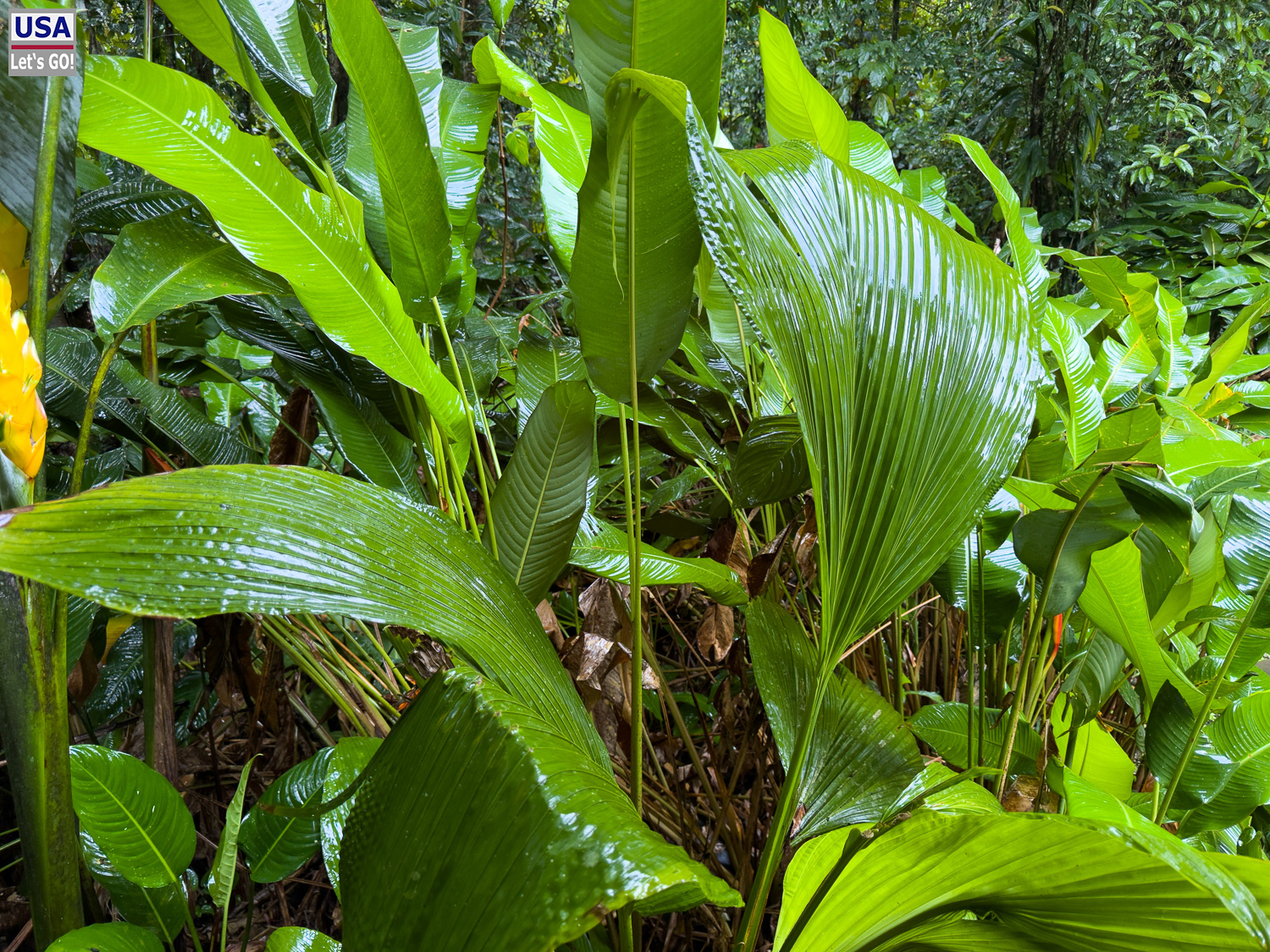 viveLaFrance Tour 2025