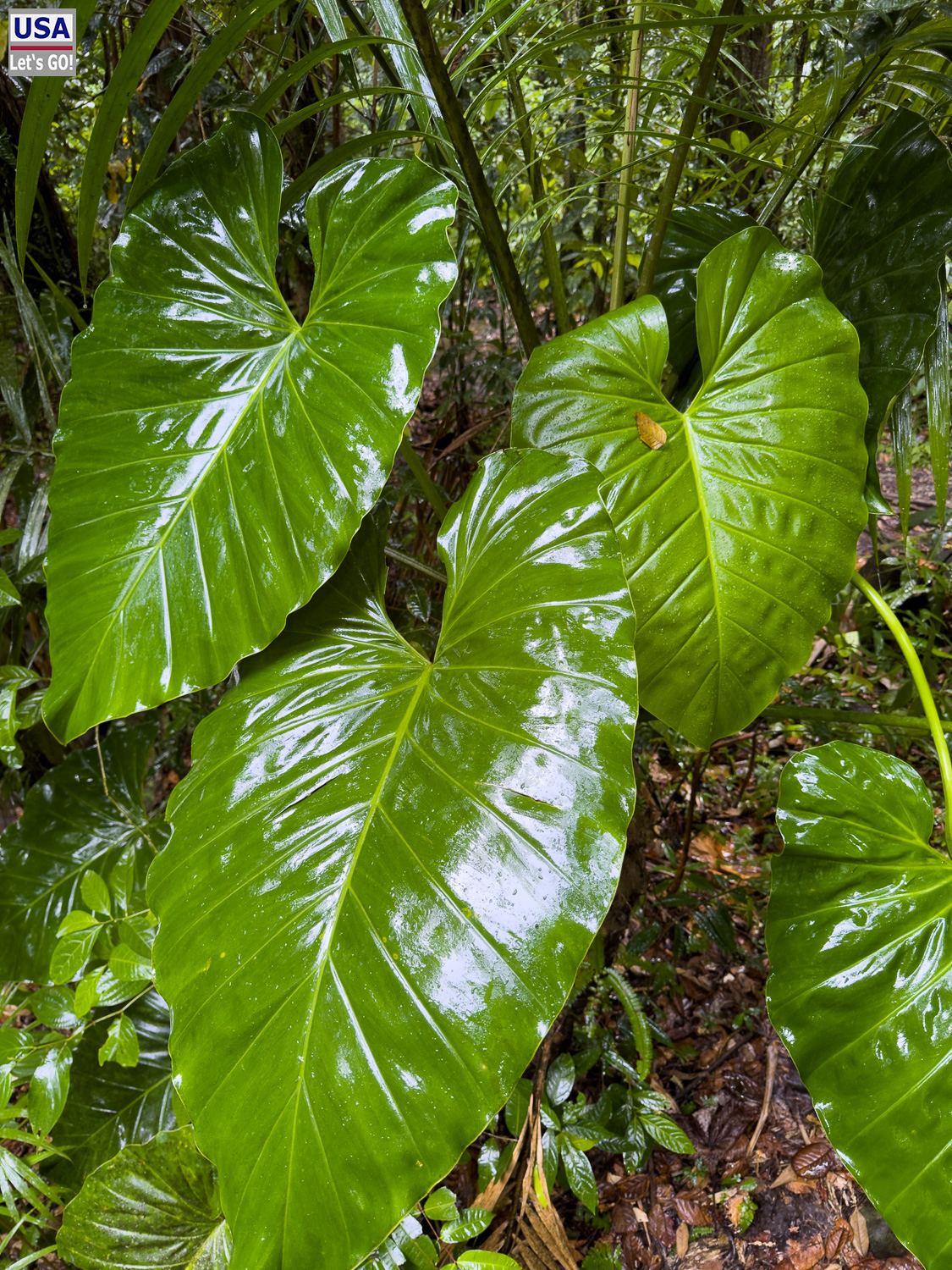 viveLaFrance Tour 2025