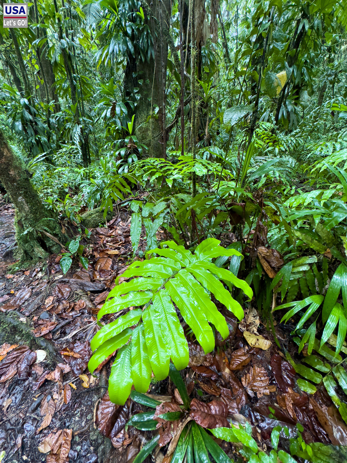 viveLaFrance Tour 2025