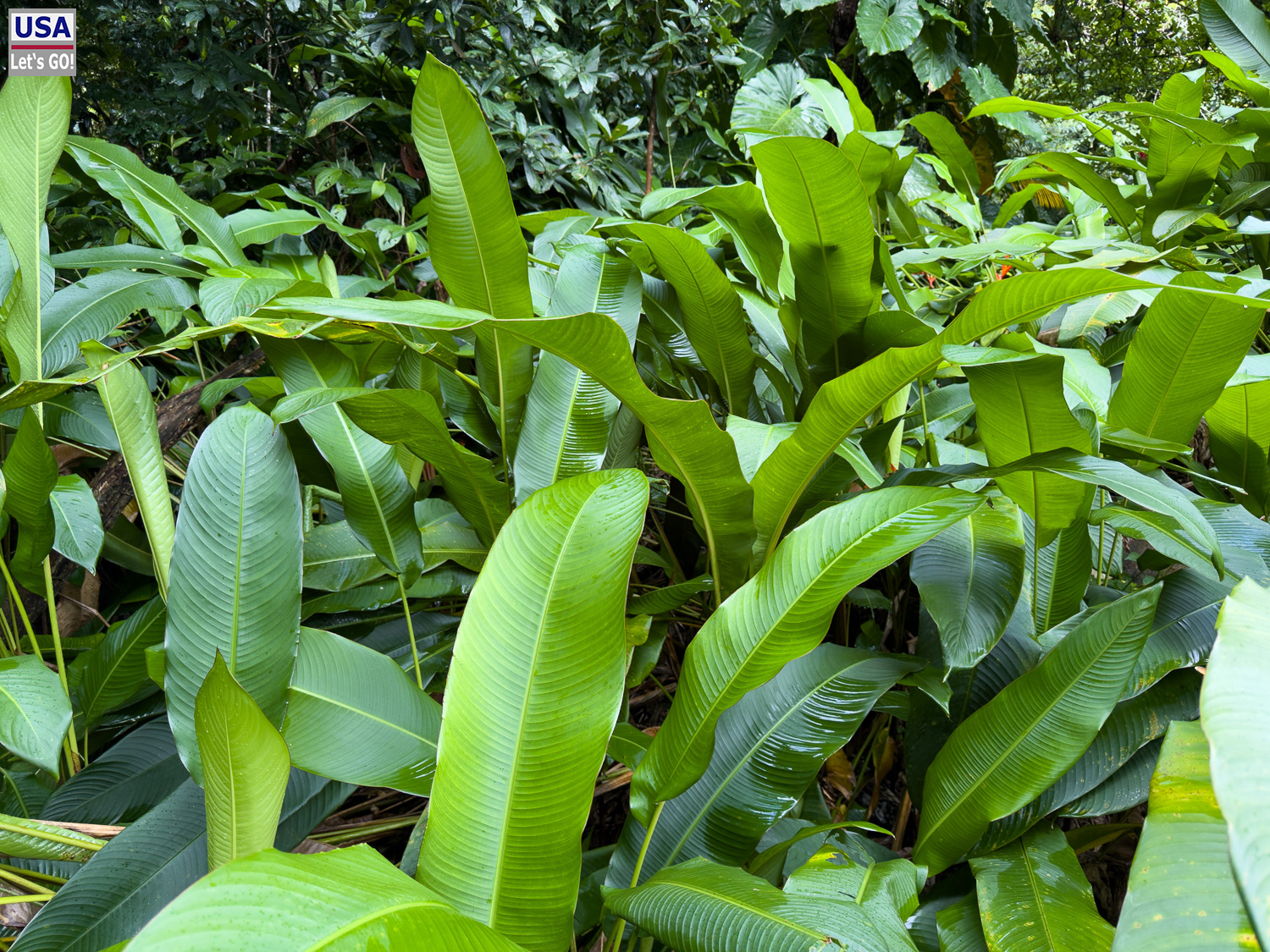 viveLaFrance Tour 2025