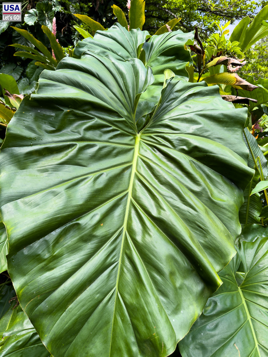 viveLaFrance Tour 2025