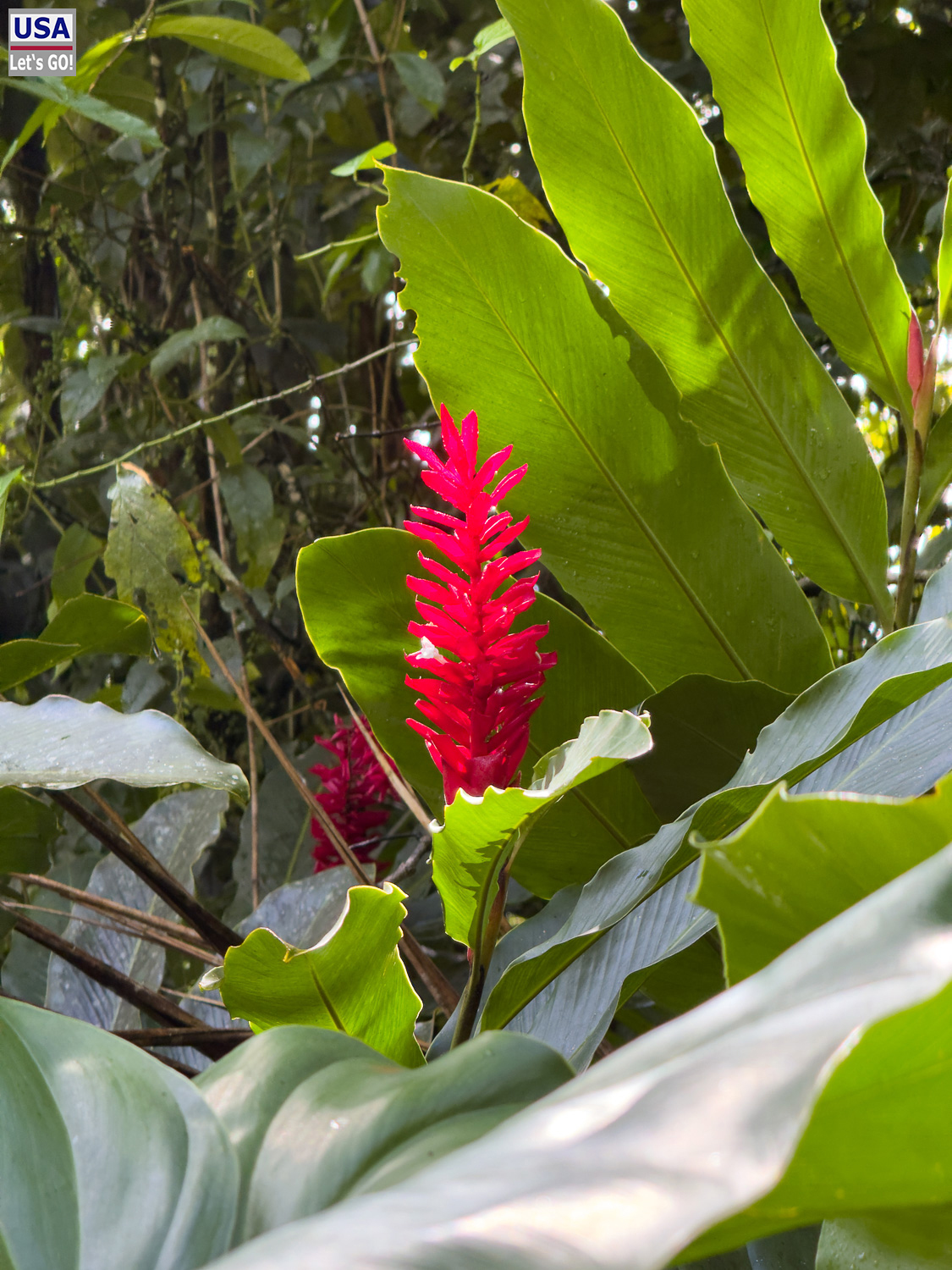 viveLaFrance Tour 2025