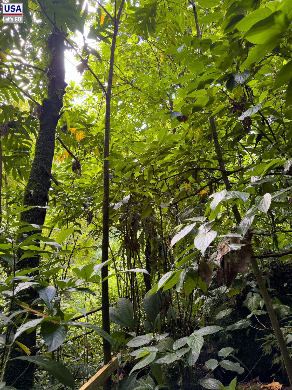 viveLaFrance Tour 2025