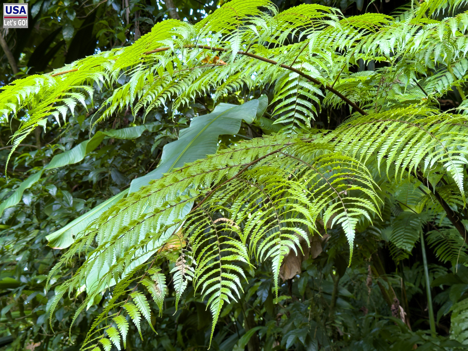 viveLaFrance Tour 2025