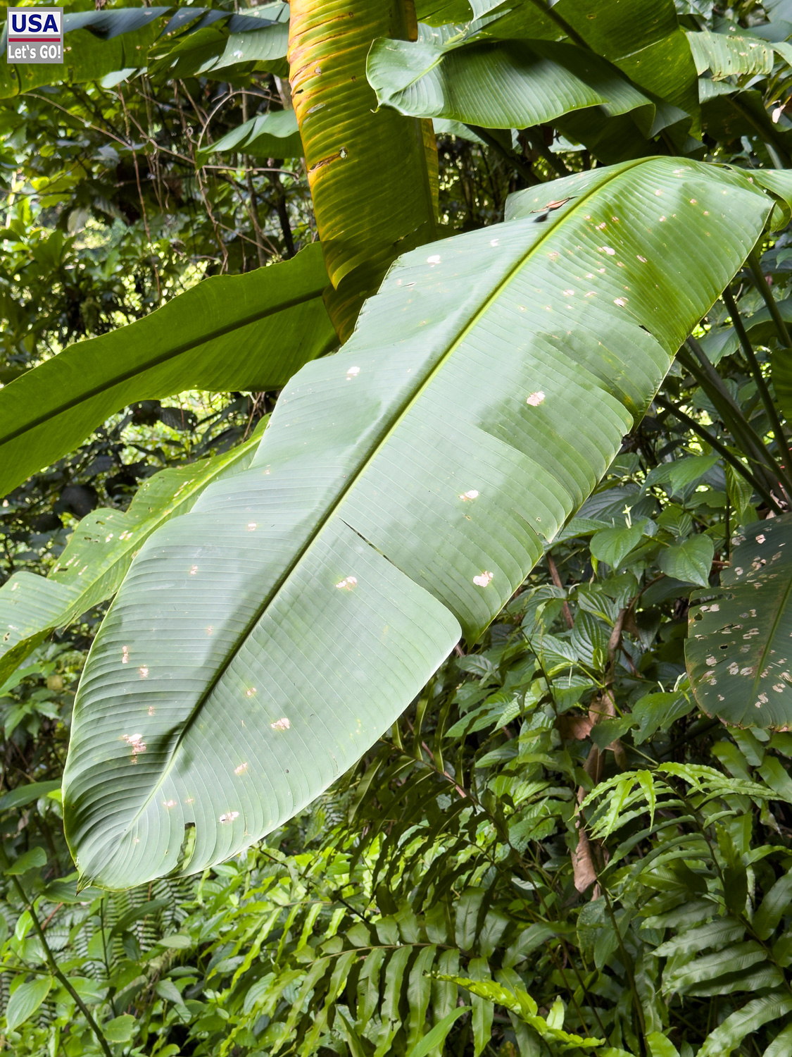 viveLaFrance Tour 2025