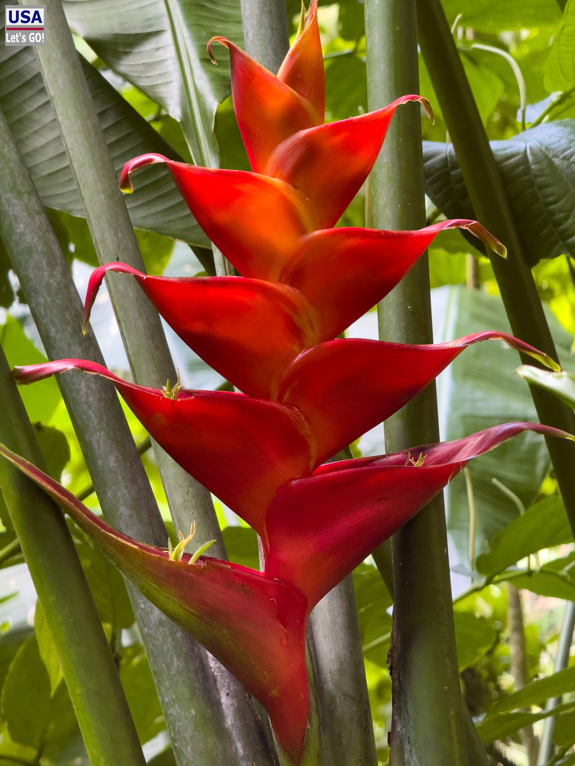 viveLaFrance Tour 2025